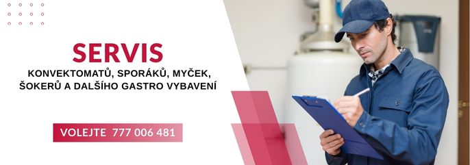 Servis
