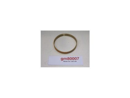 remen 310 gat 220