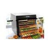 susicka ovoce excalibur ecx10le s casovacem 10 tacu nerez
